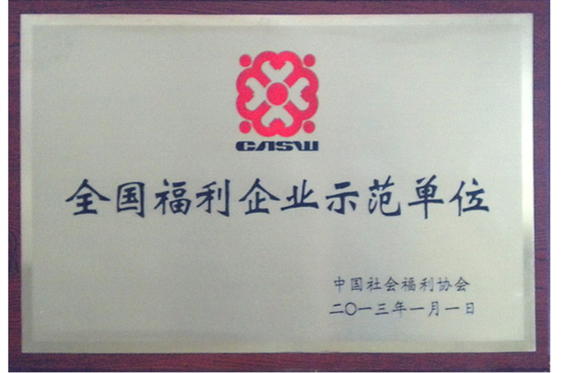 2013年全國福利企業モデル企業